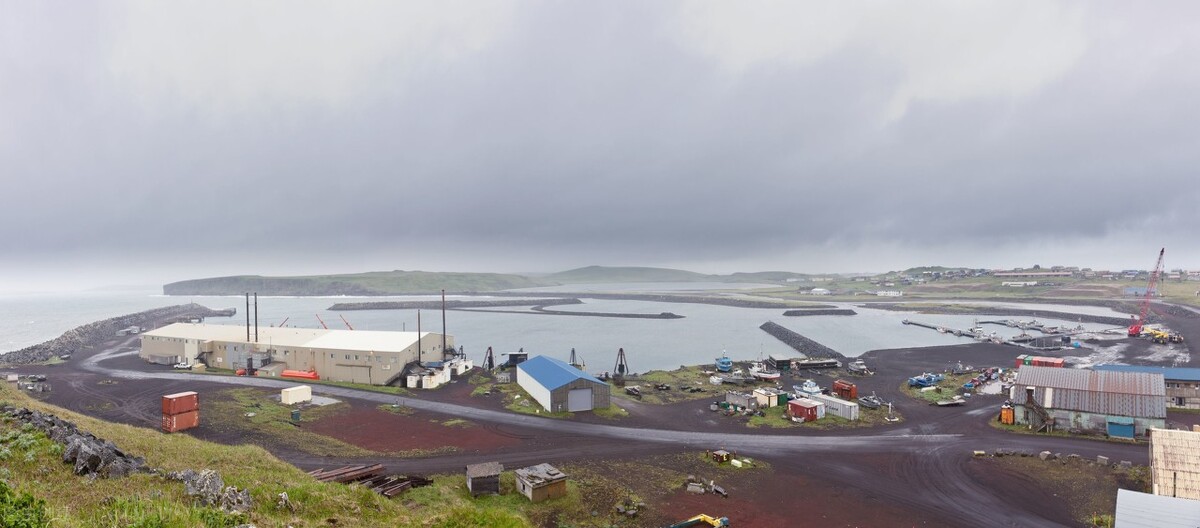 美西港口超1800人感染！深圳累計發現7名跨境貨車司機確診新冠